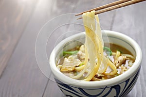 Curry udon, japanese noodles