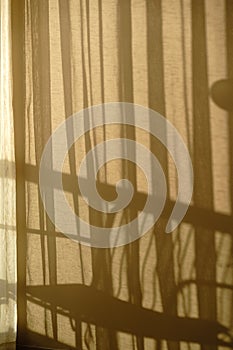 The curtain view with the morning sunlight and shadow.