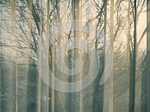 Curtain Window closeup from interior point of view sunset