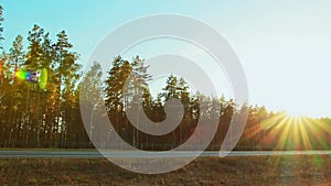 Curtainsider full trailer cargo lory semi-trailer truck moves on highway road in countryside along forest at sunset