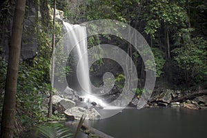 Curtis Falls in Mount Tamborine National Park on the Gold Coast