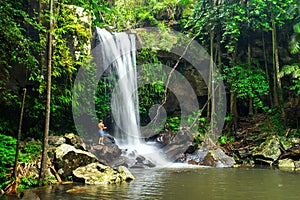 Curtis Falls in Mount Tamborine National Park on the Gold Coast