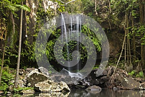 Curtis Falls Waterfall in Mount Tambourine