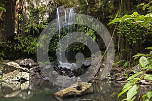 Curtis Falls Waterfall in Mount Tambourine