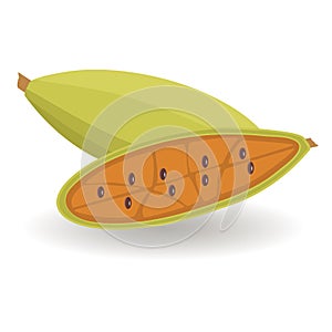 Curuba fruit fruit on white background vector