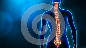 Curvature of the spine and woman body back view 3D rendering illustration with copy space. Spine disorder, scoliosis, backbone photo