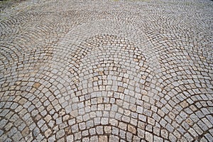 Curve Brick octagona walkway in garden park with perspective view