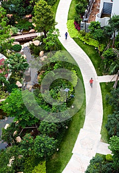 Curve brick path in garden