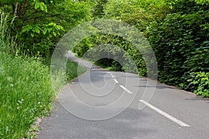 Curve bycicle road surrounded by trees.