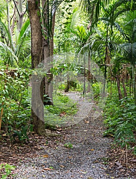 Curve gravel path