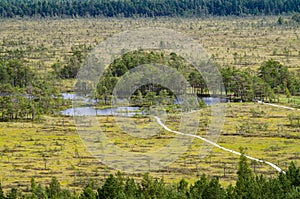 Curve hiking trails of Tolkuse bog, Estonia