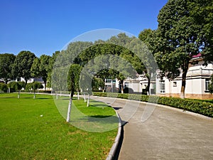 Curve path in the courtyard