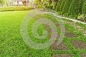 Curve pattern walkway of square Laterite stepping stone on fresh green grass yard, smooth carpet lawn, brown gravel and concrete