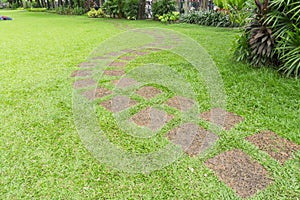 Curve pattern walkway of square Laterite stepping stone on fresh green grass yard, smooth carpet lawn in the public park