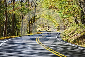 curve of a paved road in the woods