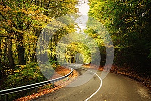 Curve road photo