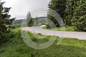 Curve of the road in the forest