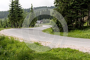 Curve of the road in the forest