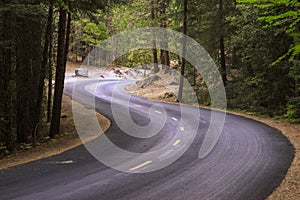 Curve road in forest in Yosemite national park in US