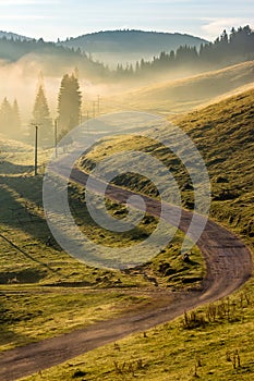 Curve road to mountain forest in fog at sunrise