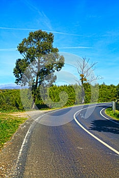 Curve way of asphalt road