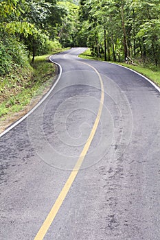 Curve way of asphalt road through the tropical forest