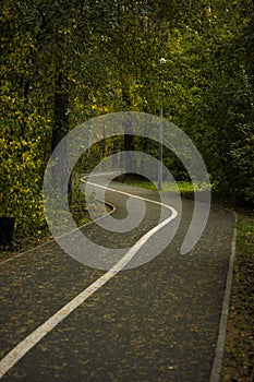 curved asphalt highway and autumn forest by sides