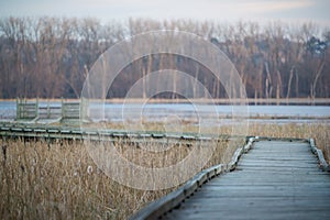 Curved boardwalk walking path to an observation deck - in the fall on the Minnesota River in the Minnesota Valley National Wildlif