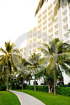 Curved brick pathway along row of tall coconut palm trees, tropical garden landscape at upscale multistory resort hotel in Nha