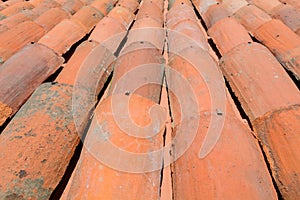 Curved clay tiles