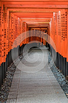 Curved corridor of Red Torii gates at Fushimi Inari Taisha Shinto shrine. Kyoto, Japan.