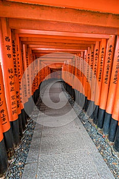 Curved corridor of Red Torii gates at Fushimi Inari Taisha Shinto shrine. Kyoto, Japan.