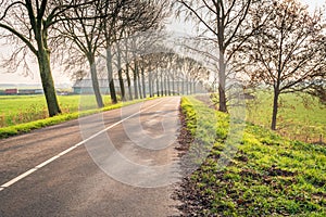 Curved country road in the autumn season