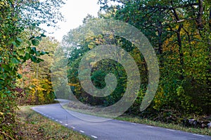 Curved country road in  fall season colors