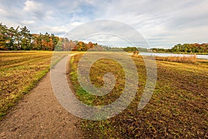 Curved footpath in a color changed nature reserve in the fall season