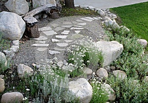Curved log bench and stepstones on gravel