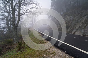 curved mountain road on a heavy foggy day with very low visibility. Morcuera, Madrid photo