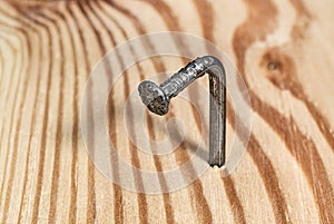 Curved nail hammered into a wooden surface