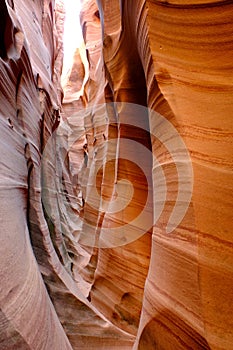 Curved narrow walls of Zebra slot canyon.