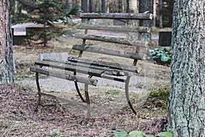 Curved old bench in the cemetery.