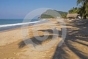 Curved Pacific Ocean beach