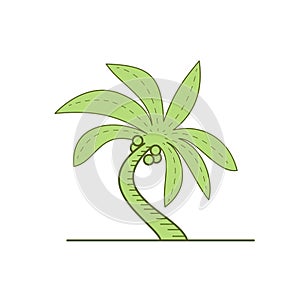 Curved Palm Tree Mono Line photo