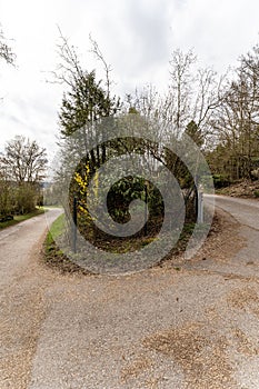 Curved path across meadow with garden and trees