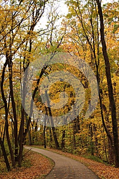 A curved path through a forest with stunning fall foliage at Petrifying Springs Park in Wisconsin