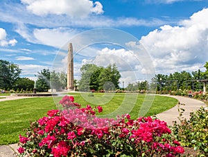 World War I memorial  behind a red rose in Walnut Hill Park in New Britain, Connecticut