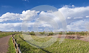 Curved Path and Railing Into a Scenic Distance