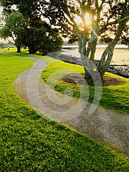 Curved path by the sea at low tide. The evening sun shines through the trees.