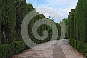 Curved pathway in the gardens of Alhambra