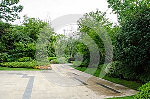Curved Patterned Pathway Through Lush Garden with Flowering Beds