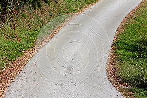 Curved paved country road surrounded with dense small light brown fallen leaves and uncut grass